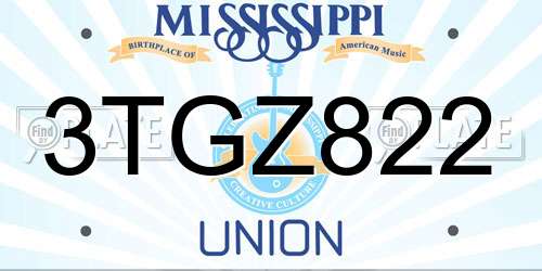 3TGZ822 Mississippi License Plate