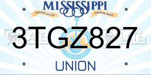 3TGZ827 Mississippi License Plate