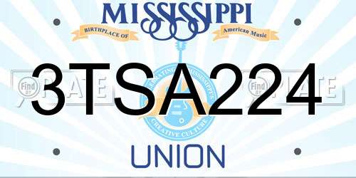 3TSA224 Mississippi License Plate