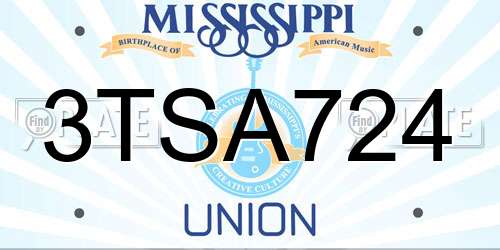 3TSA724 Mississippi License Plate