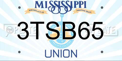 3TSB65 Mississippi License Plate