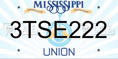 3TSE222 Mississippi License Plate