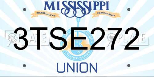 3TSE272 Mississippi License Plate