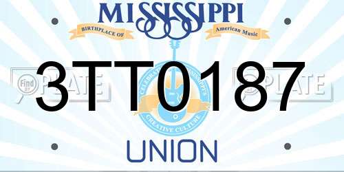 3TT0187 Mississippi License Plate