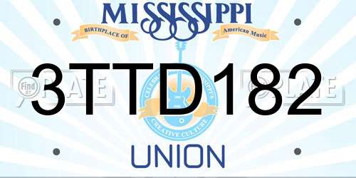 3TTD182 Mississippi License Plate
