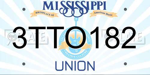 3TTO182 Mississippi License Plate