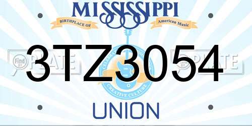 3TZ3054 Mississippi License Plate