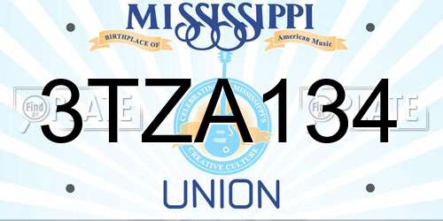 3TZA134 Mississippi License Plate
