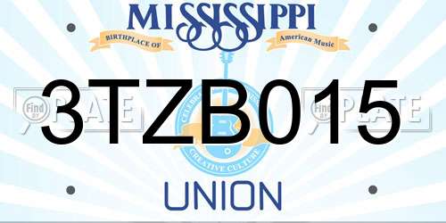 3TZB015 Mississippi License Plate