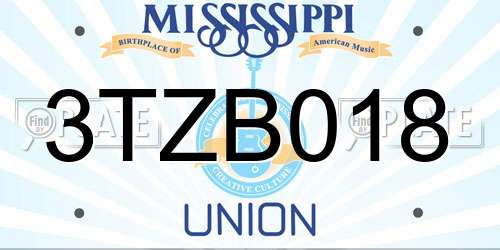 3TZB018 Mississippi License Plate