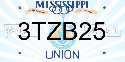 3TZB25 Mississippi License Plate