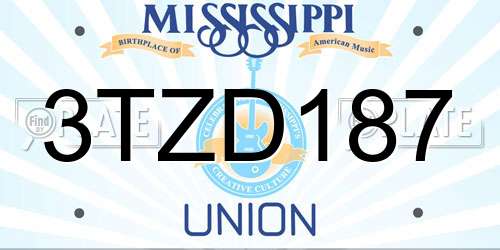 3TZD187 Mississippi License Plate