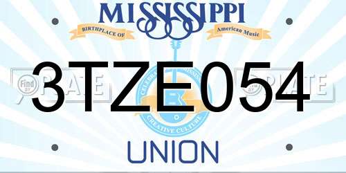 3TZE054 Mississippi License Plate