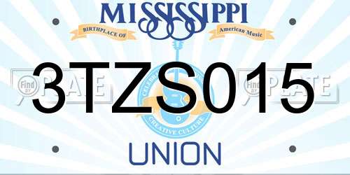 3TZS015 Mississippi License Plate