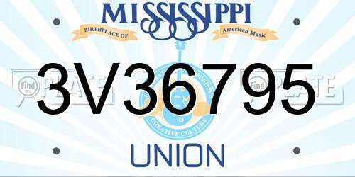 3V36795 Mississippi License Plate