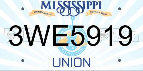 3WE5919 Mississippi License Plate