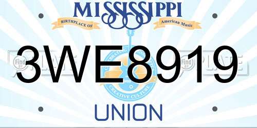 3WE8919 Mississippi License Plate