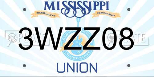 3WZZ08 Mississippi License Plate