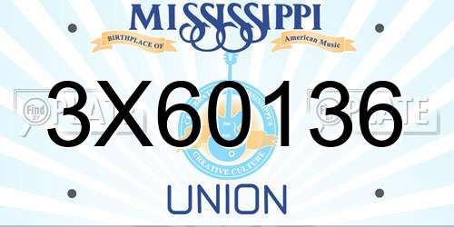 3X60136 Mississippi License Plate
