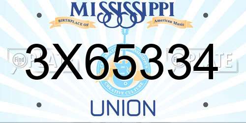 3X65334 Mississippi License Plate