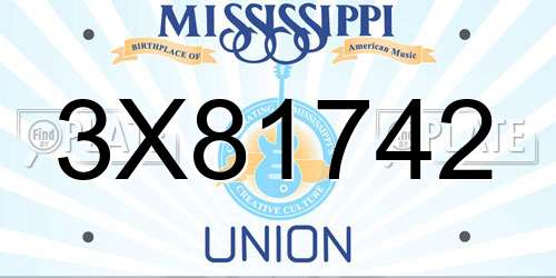 3X81742 Mississippi License Plate