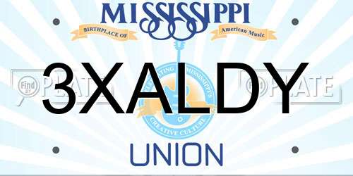 3XALDY Mississippi License Plate