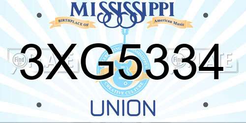3XG5334 Mississippi License Plate