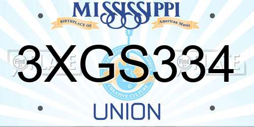 3XGS334 Mississippi License Plate