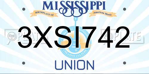 3XSI742 Mississippi License Plate