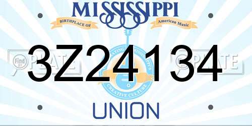 3Z24134 Mississippi License Plate