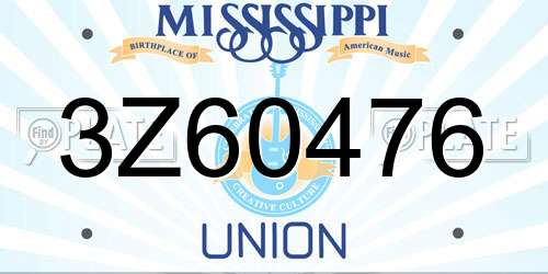 3Z60476 Mississippi License Plate
