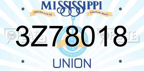 3Z78018 Mississippi License Plate