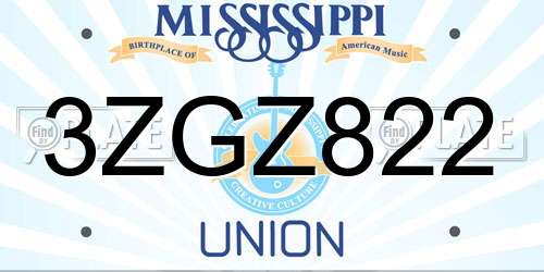 3ZGZ822 Mississippi License Plate