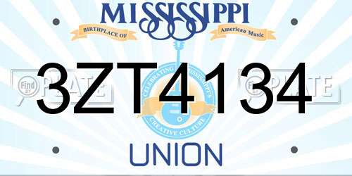 3ZT4134 Mississippi License Plate