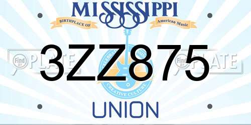 3ZZ875 Mississippi License Plate