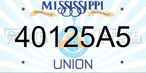 40125A5 Mississippi License Plate