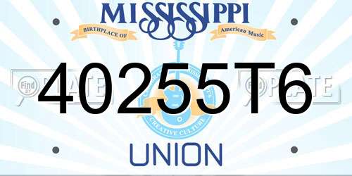 40255T6 Mississippi License Plate