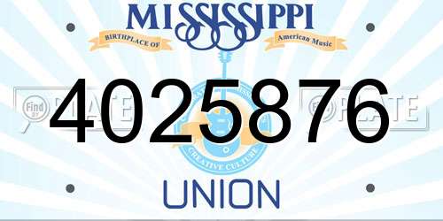 4025876 Mississippi License Plate