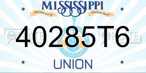40285T6 Mississippi License Plate