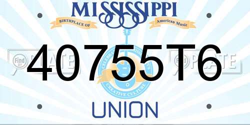 40755T6 Mississippi License Plate