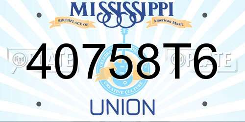 40758T6 Mississippi License Plate