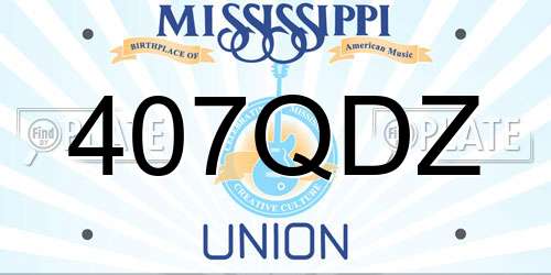 407QDZ Mississippi License Plate