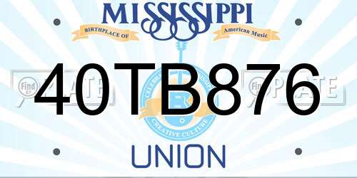 40TB876 Mississippi License Plate