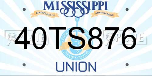 40TS876 Mississippi License Plate