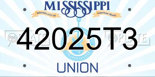 42025T3 Mississippi License Plate
