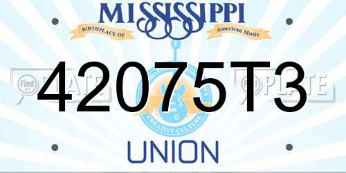 42075T3 Mississippi License Plate
