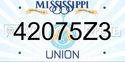 42075Z3 Mississippi License Plate