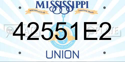 42551E2 Mississippi License Plate