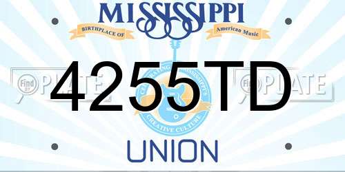 4255TD Mississippi License Plate