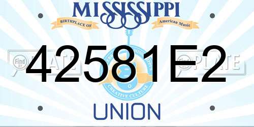 42581E2 Mississippi License Plate